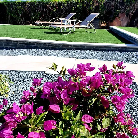 فيلة Shack Klorakas