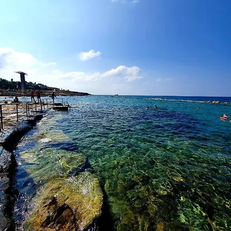 Shack فيلة